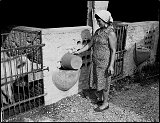 Vita agreste - portfolio 8